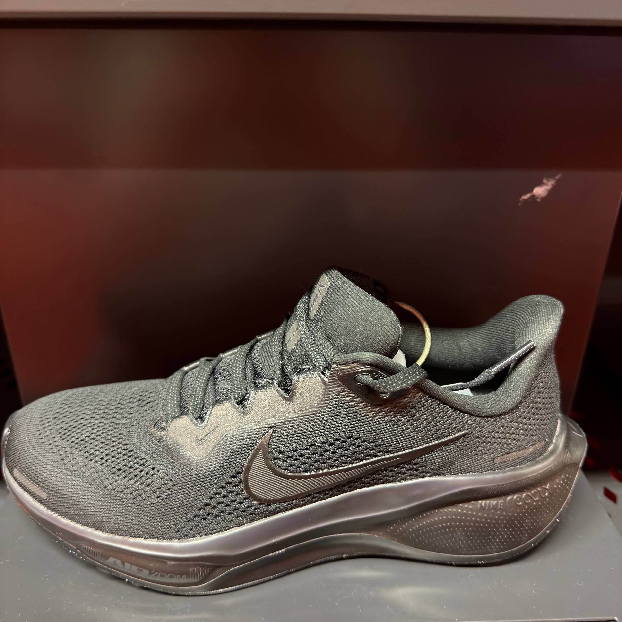 AIR ZOOM PEGASUS