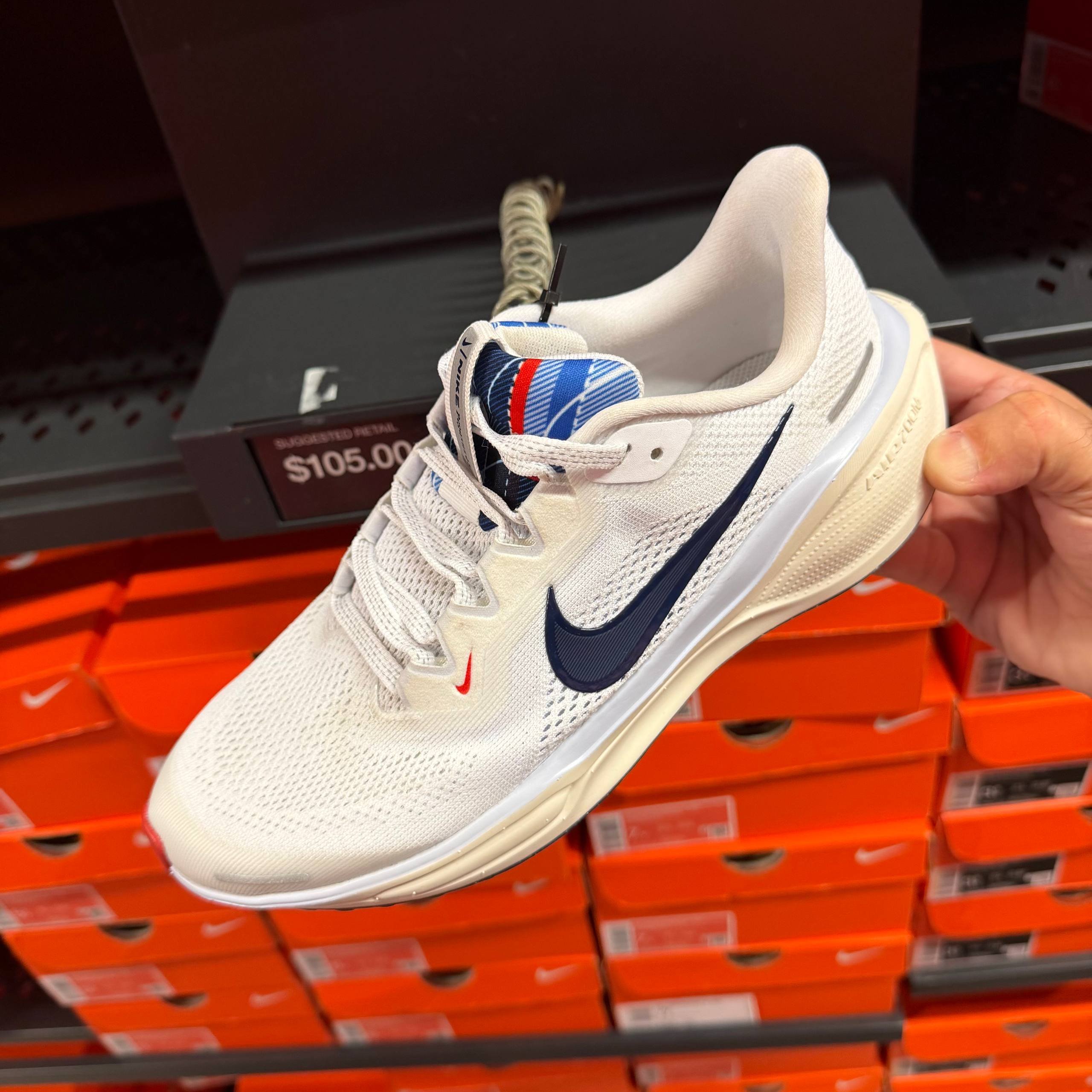 PEGASUS 41