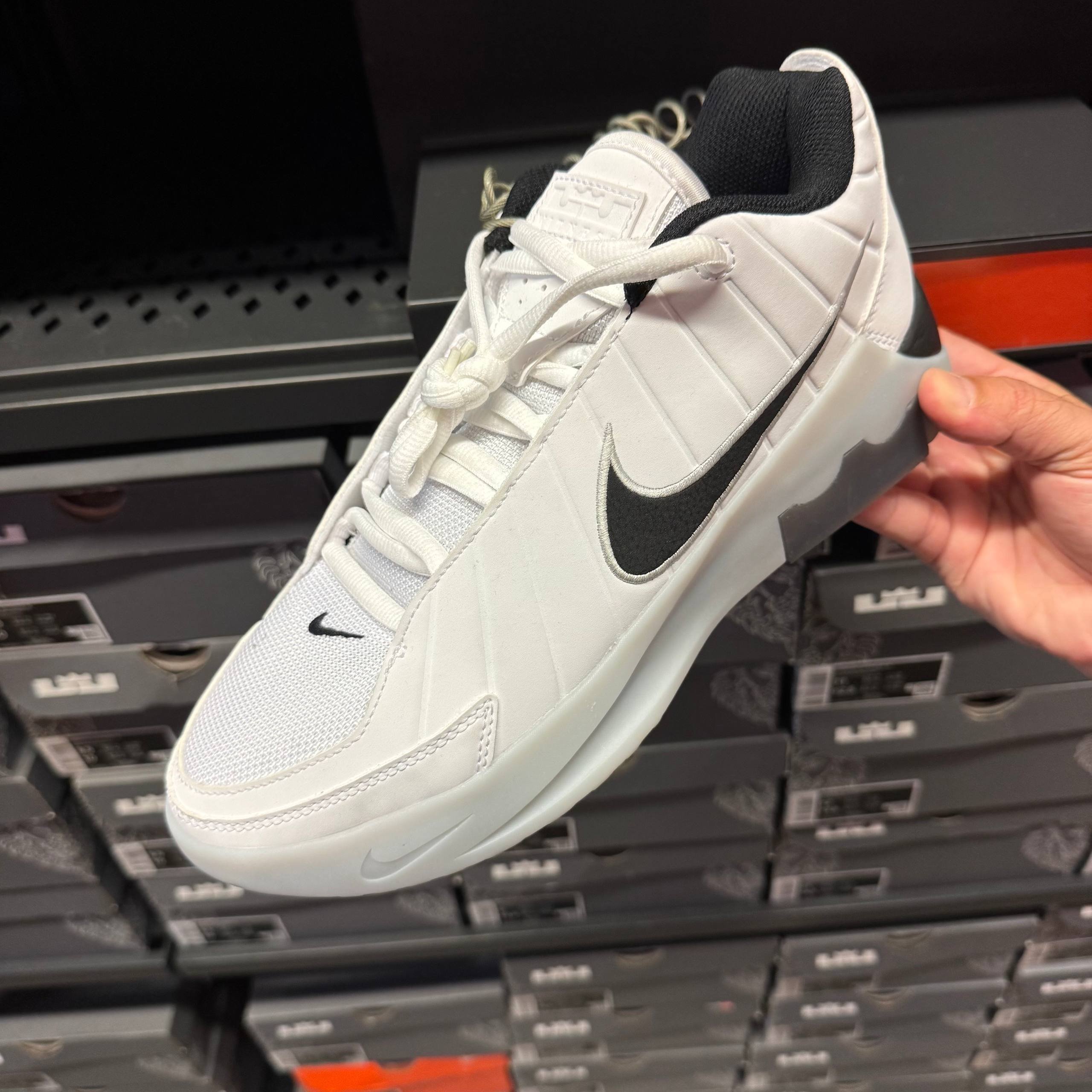 LEBRON WITNESS IX