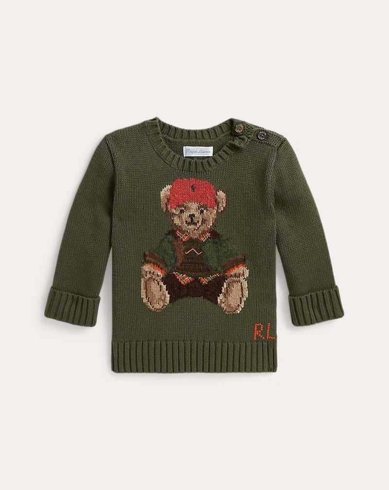 Polo Bear Cotton Sweater
