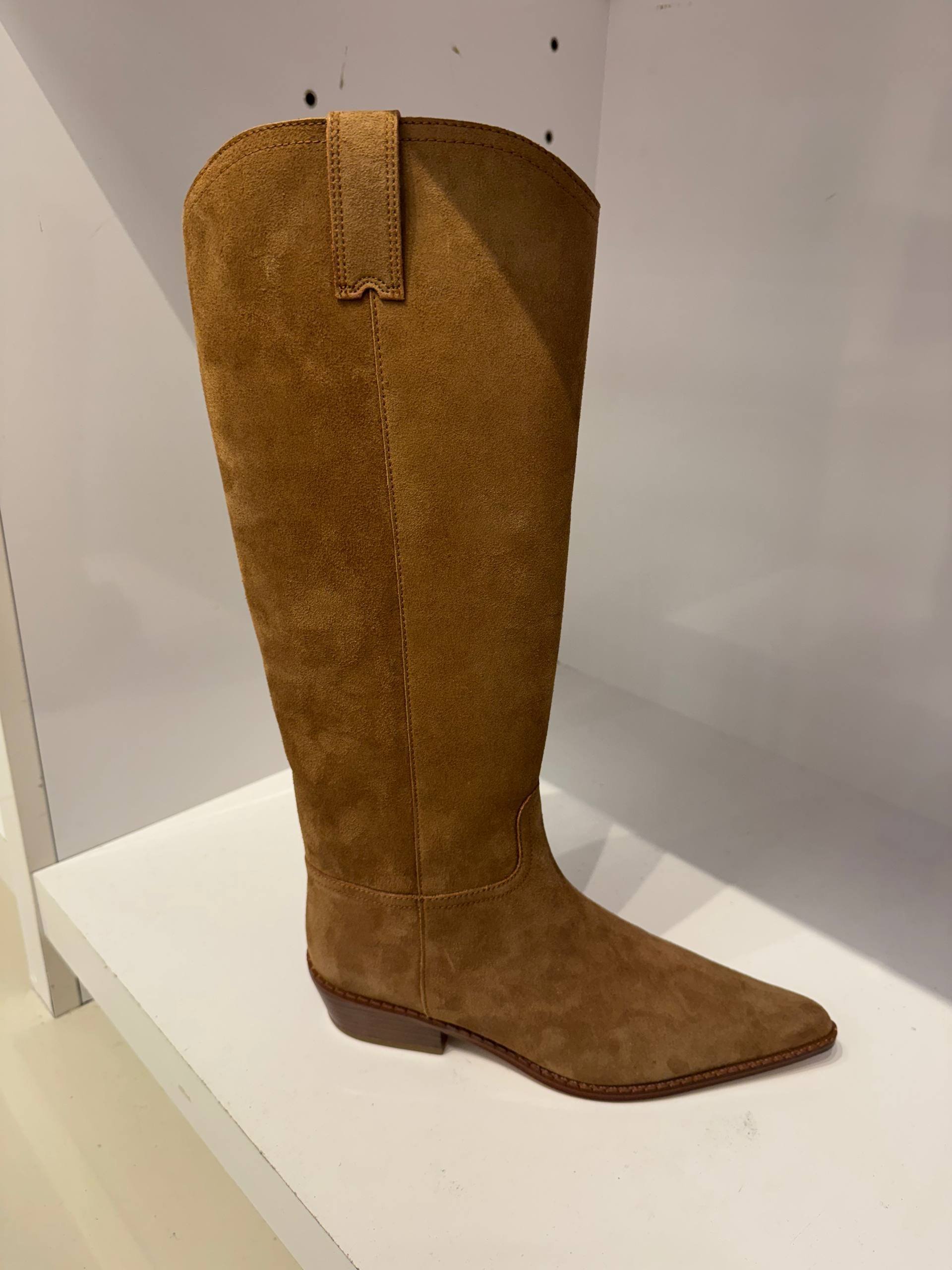 BOTA