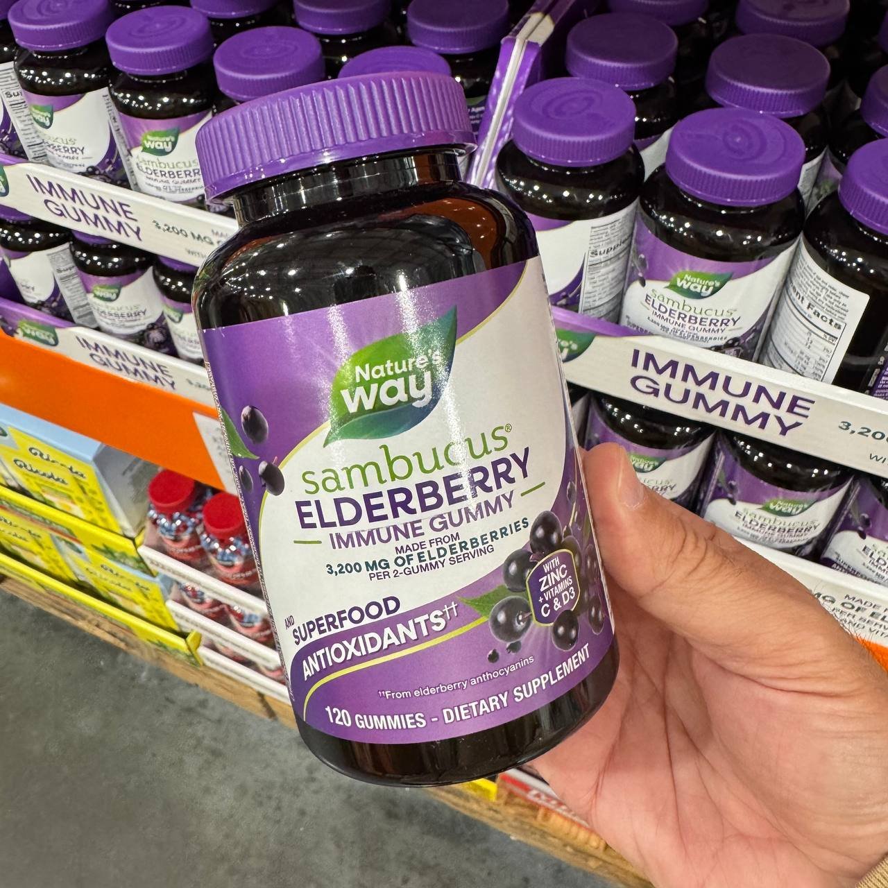 ELDERBERRY