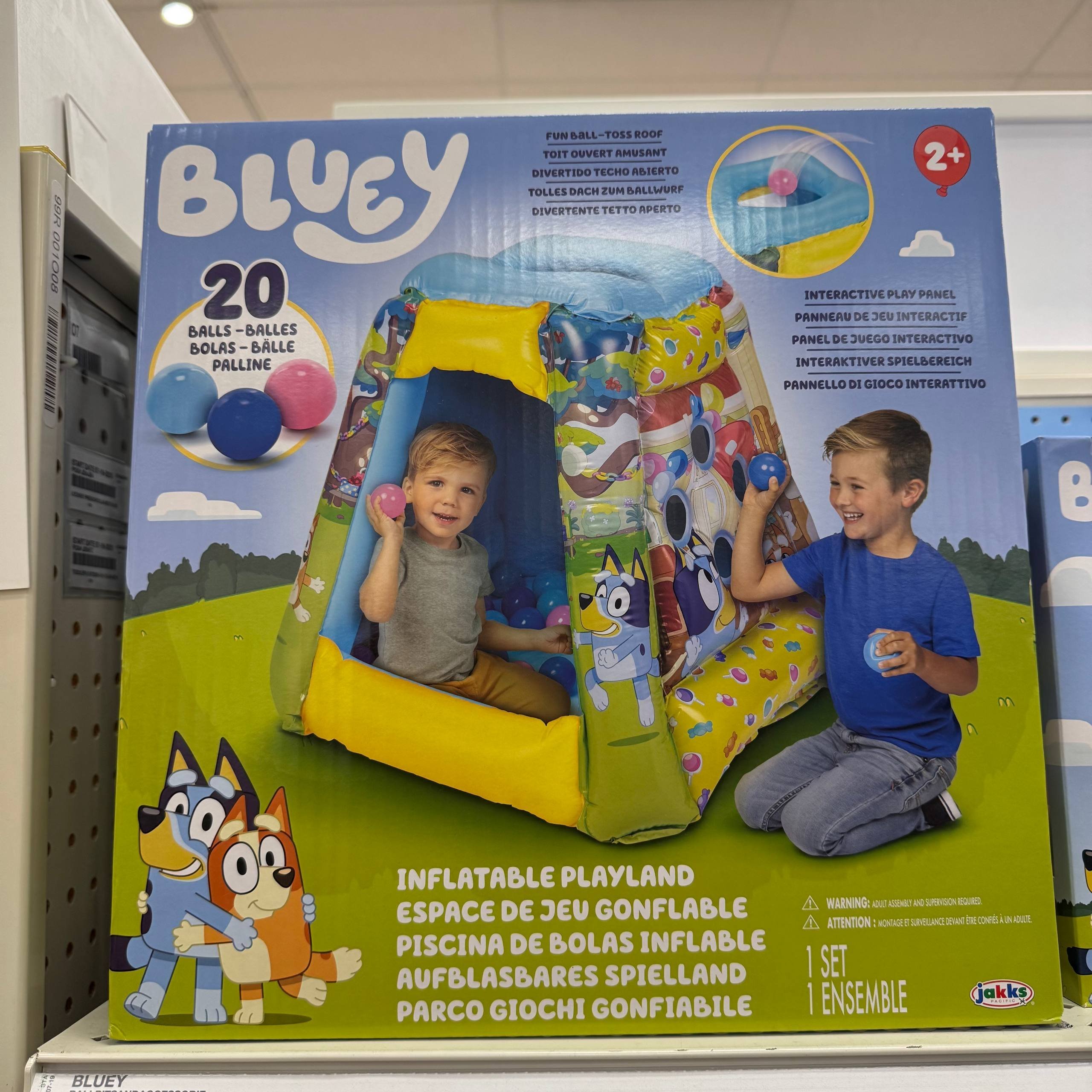 BLUEY