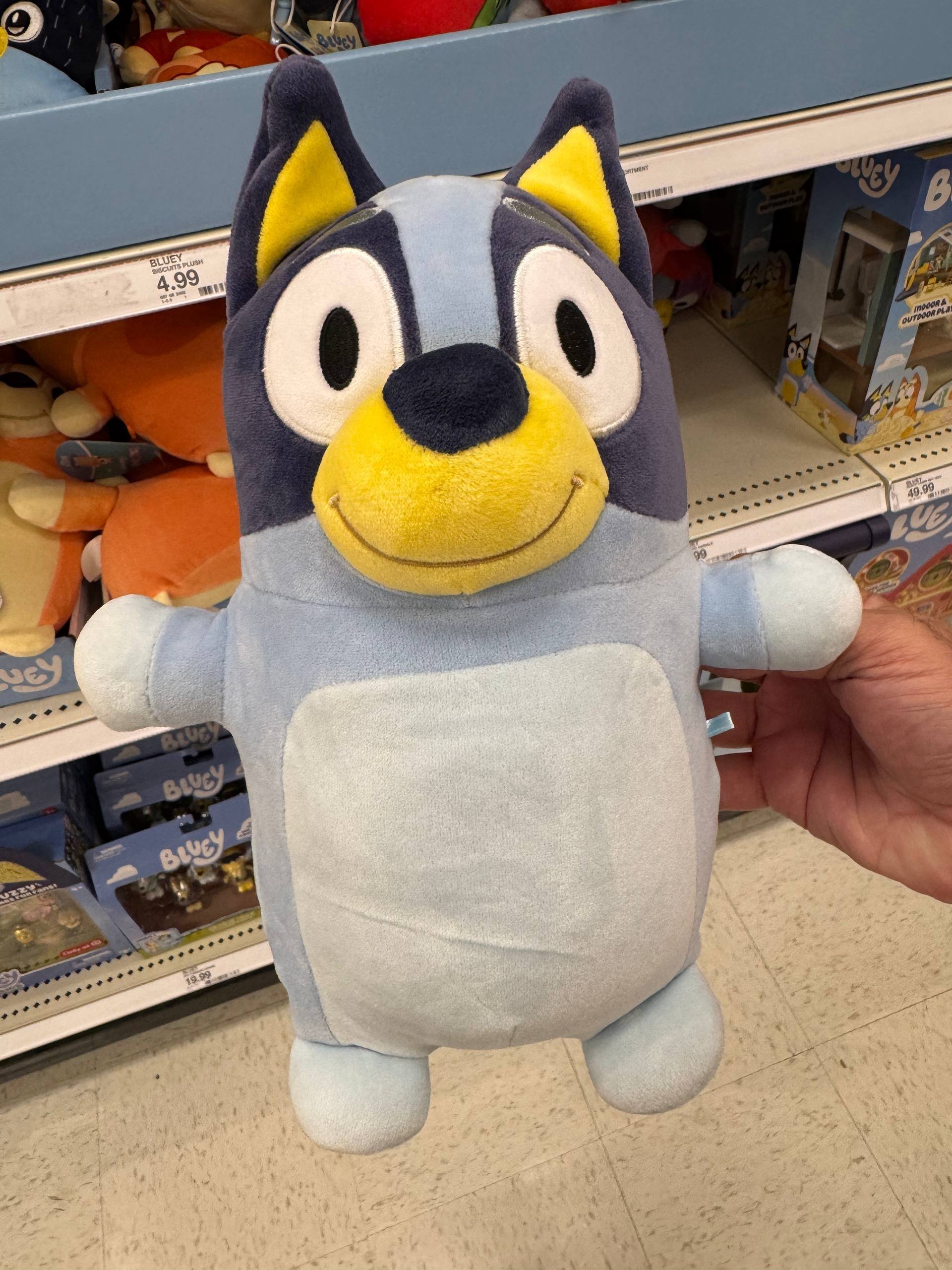 BLUEY