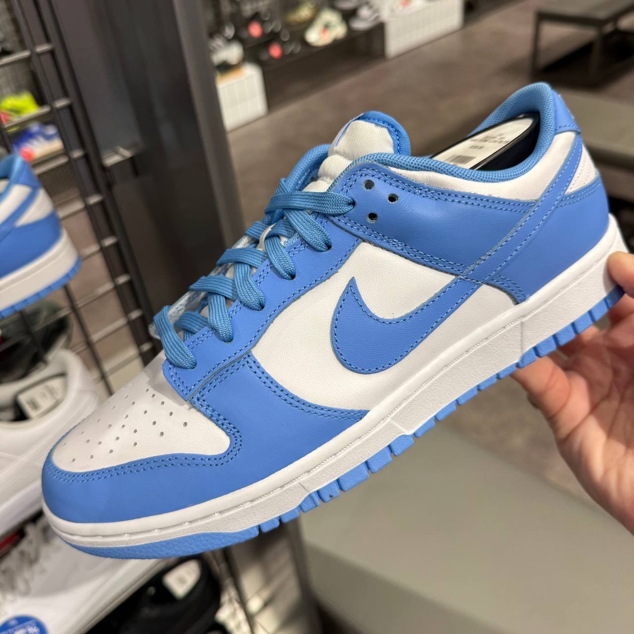 DUNK LOW