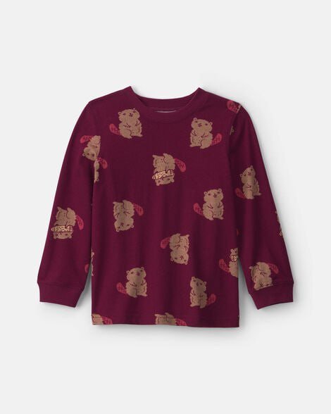 Toddler Boy Dinosaur Long-Sleeve Tee - Brown