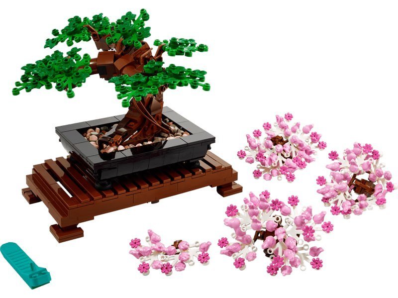 Bonsai Tree