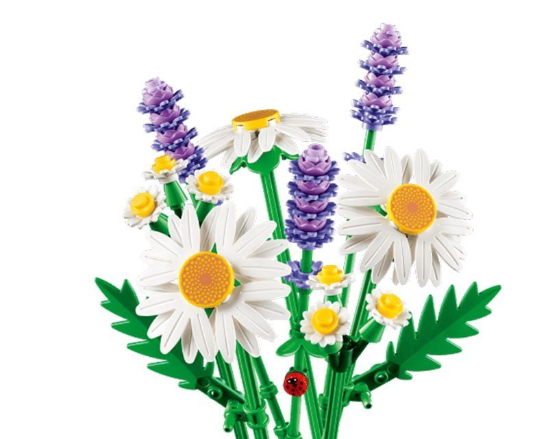 Daisies