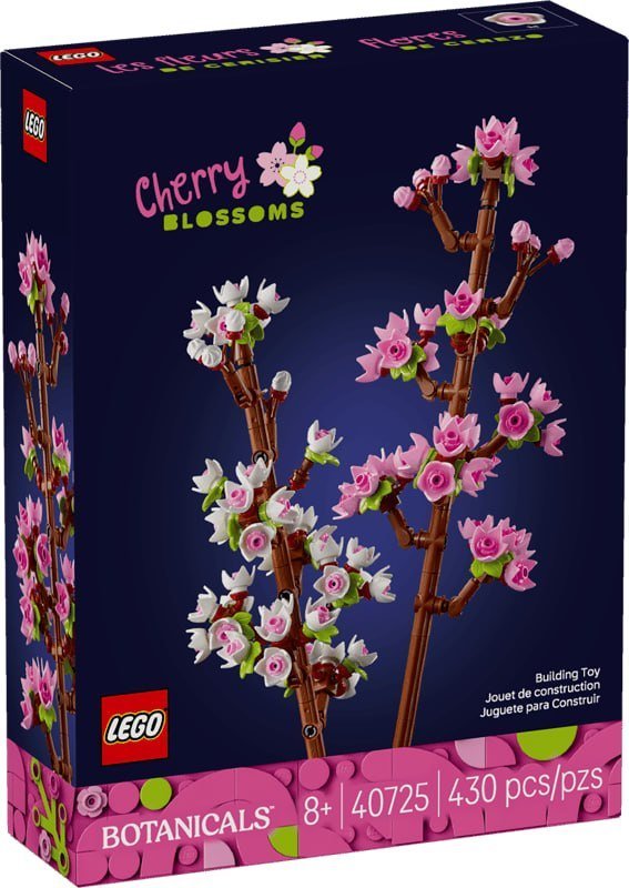 Cherry Blossoms