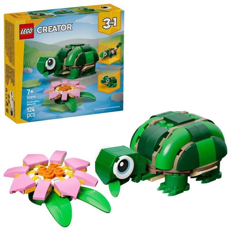 Turtle with a Water Lily Flower