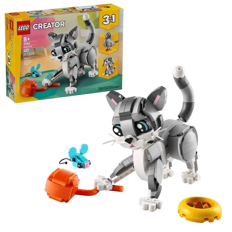 Playful Cat