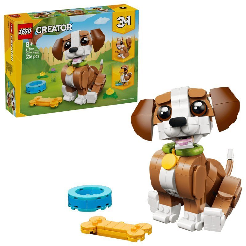 Cute Animals: Playful Puppy Dog