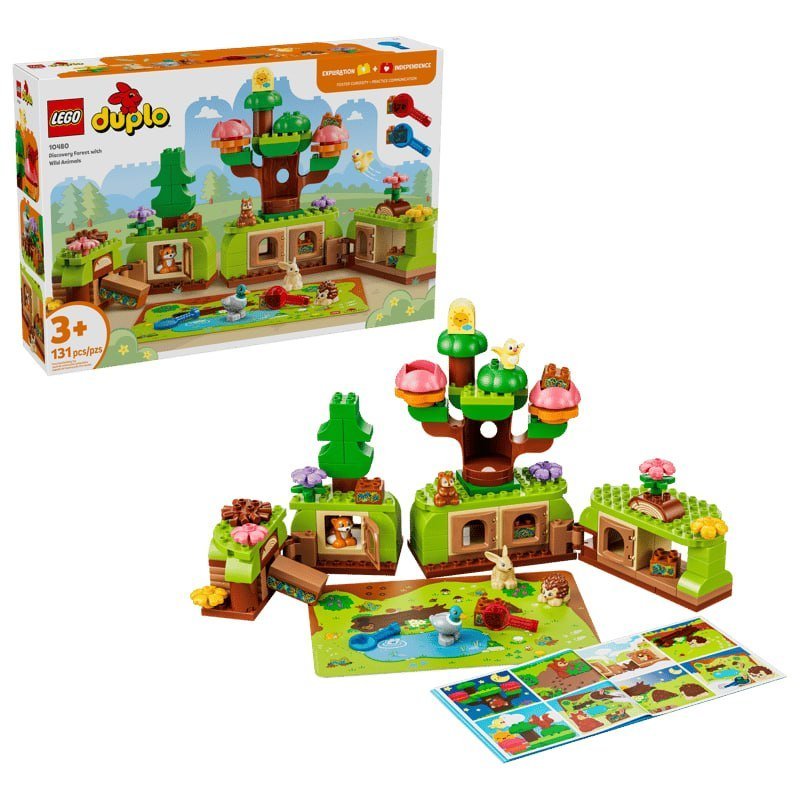 Discovery Forest with Wild Animals