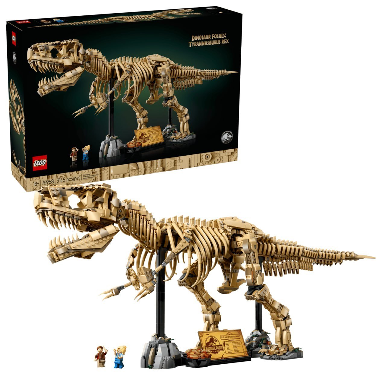 Dinosaur Fossils: Tyrannosaurus rex