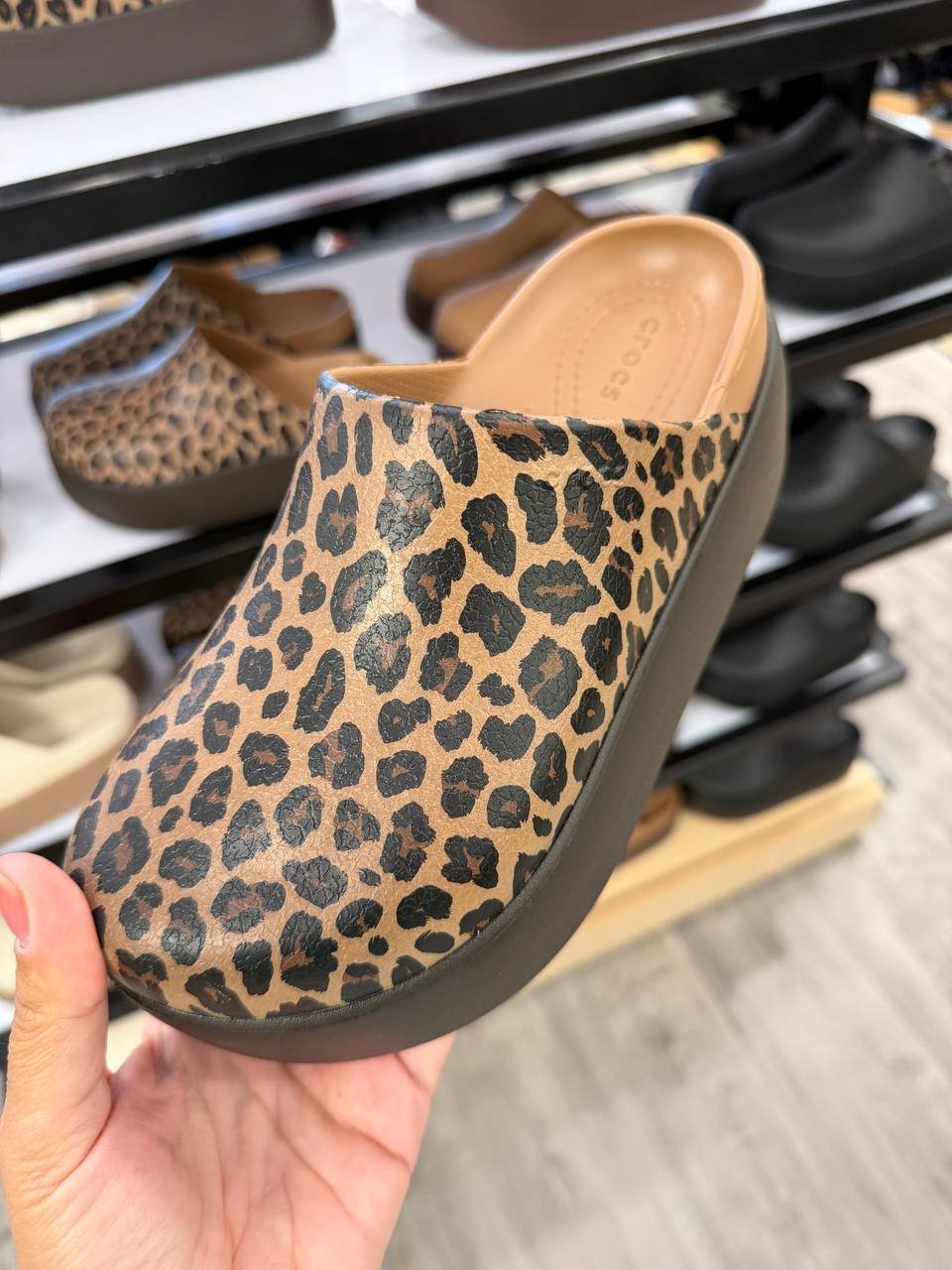 CROCS