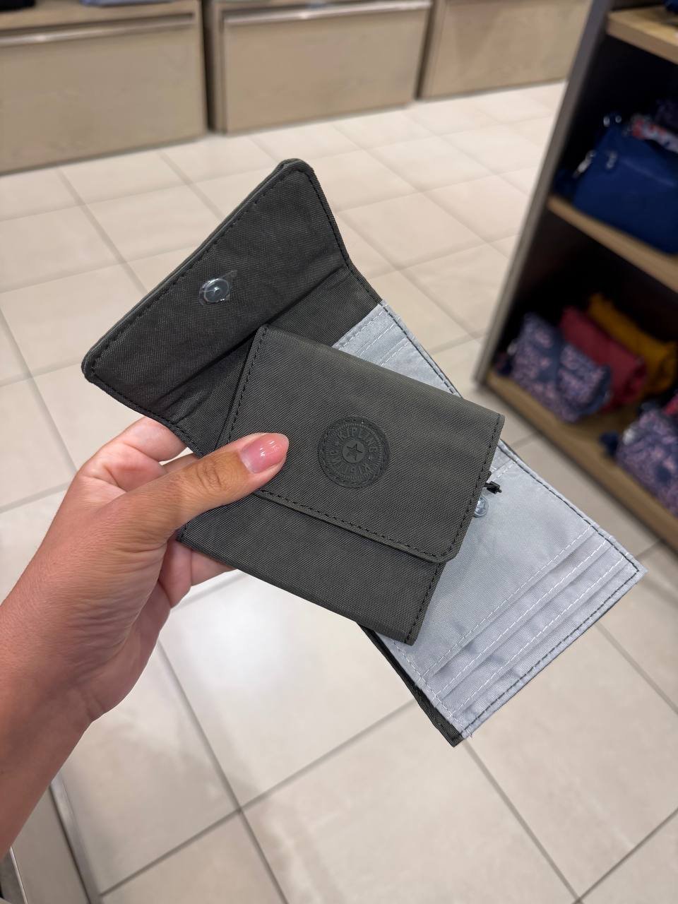 CARTEIRA CECE