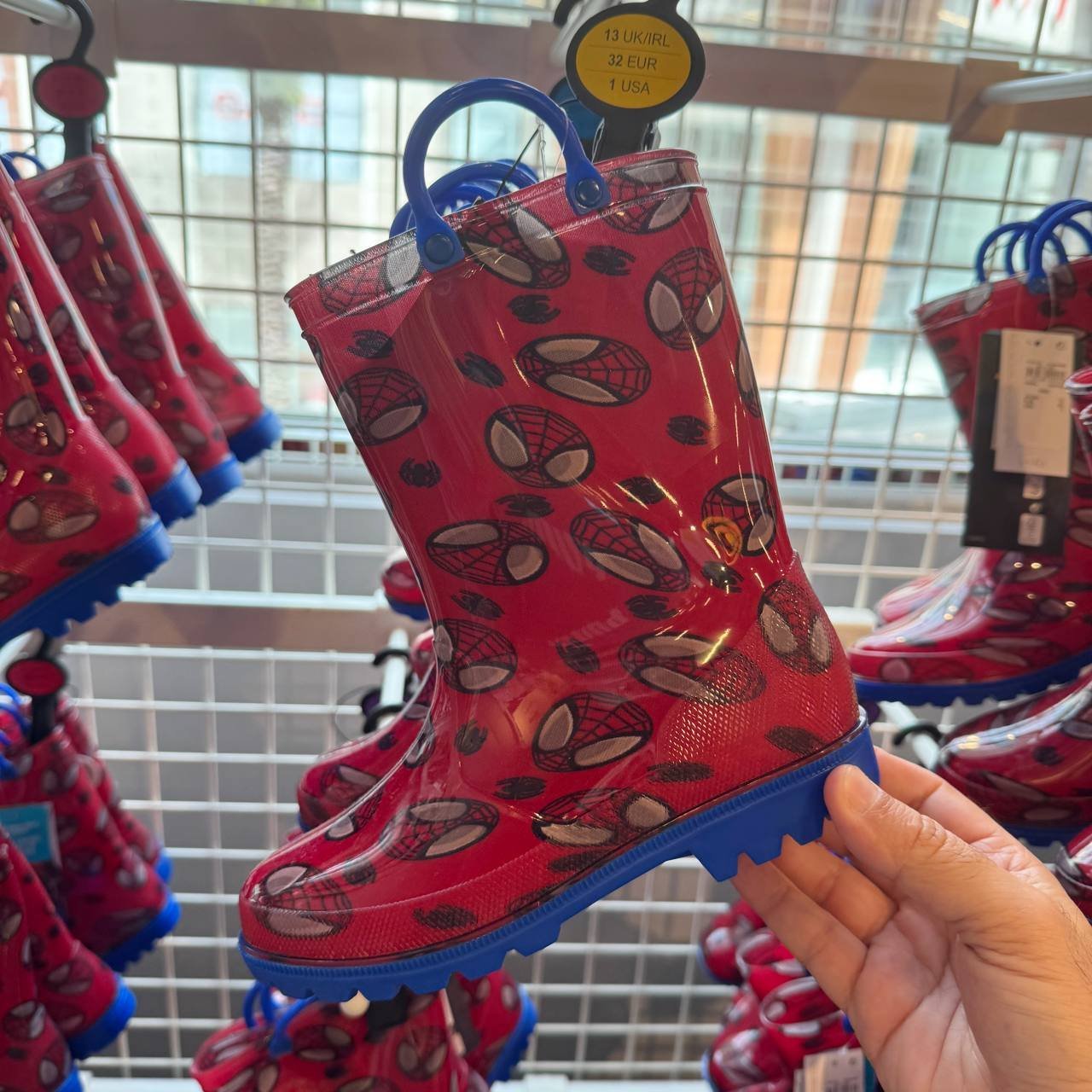BOTA