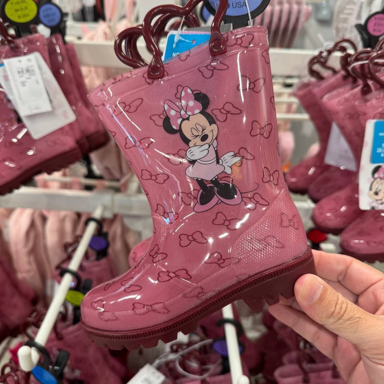 BOTA