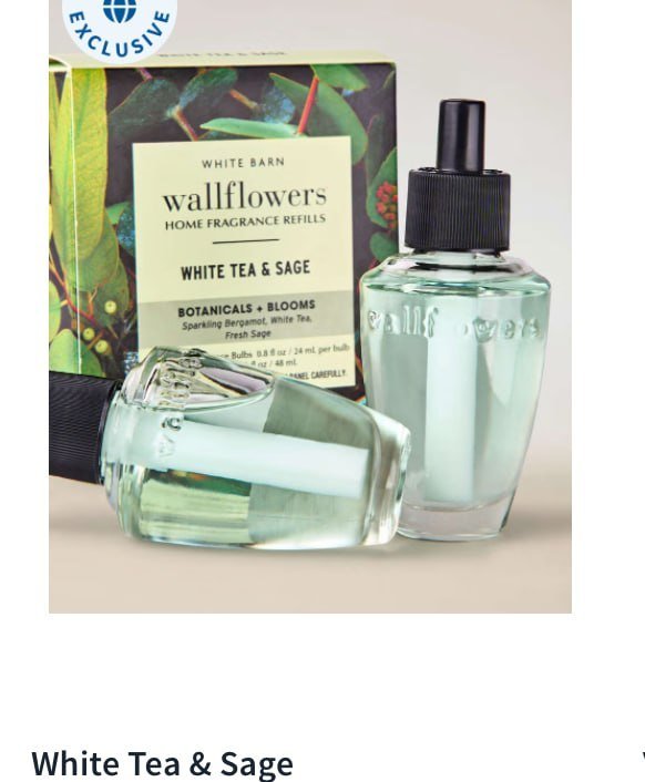 Wallflowers Refills 2-Pack