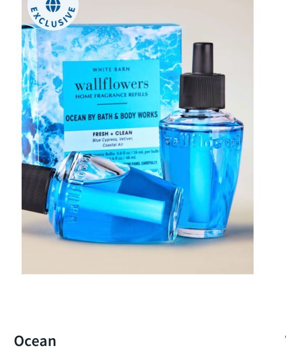 Wallflowers Refills 2-Pack