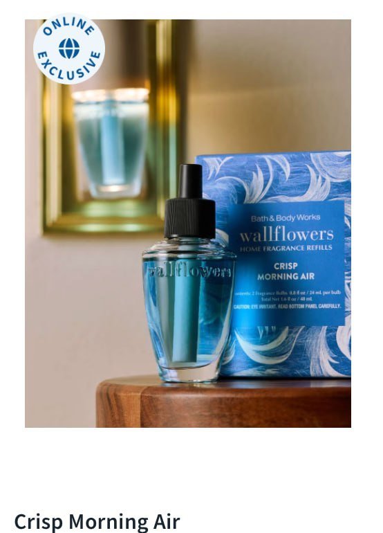 Wallflowers Refills 2-Pack