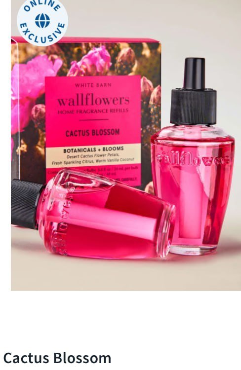 Wallflowers Refills 2-Pack