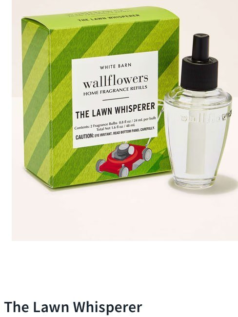 Wallflowers Refills 2-Pack