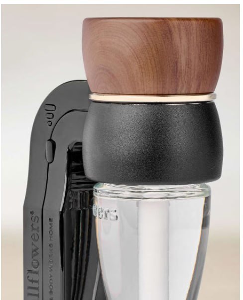 Wallflowers Fragrance Plug