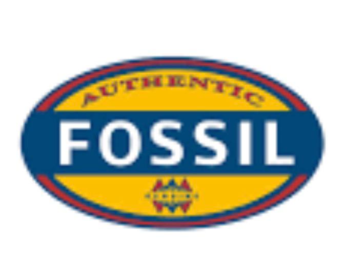 Fossil outlet