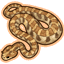 Sidewinder