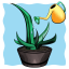 Ficus Day