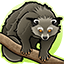 Binturong