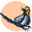Golden-Cheeked Warbler