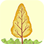 Tree Types - Symme-Tree