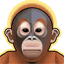 Orangutan