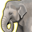 Asian Elephant