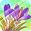 Early Crocus