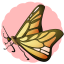 Monarch Butterfly
