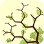 Chemis-Tree
