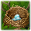 Sparrow's Nest