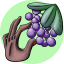 Wild Blueberries