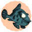 Rio Grande Cichlid