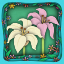Easter Lilies
