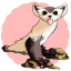 Black-Footed Ferret