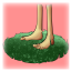 Touch Grass