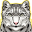 Snow Leopard