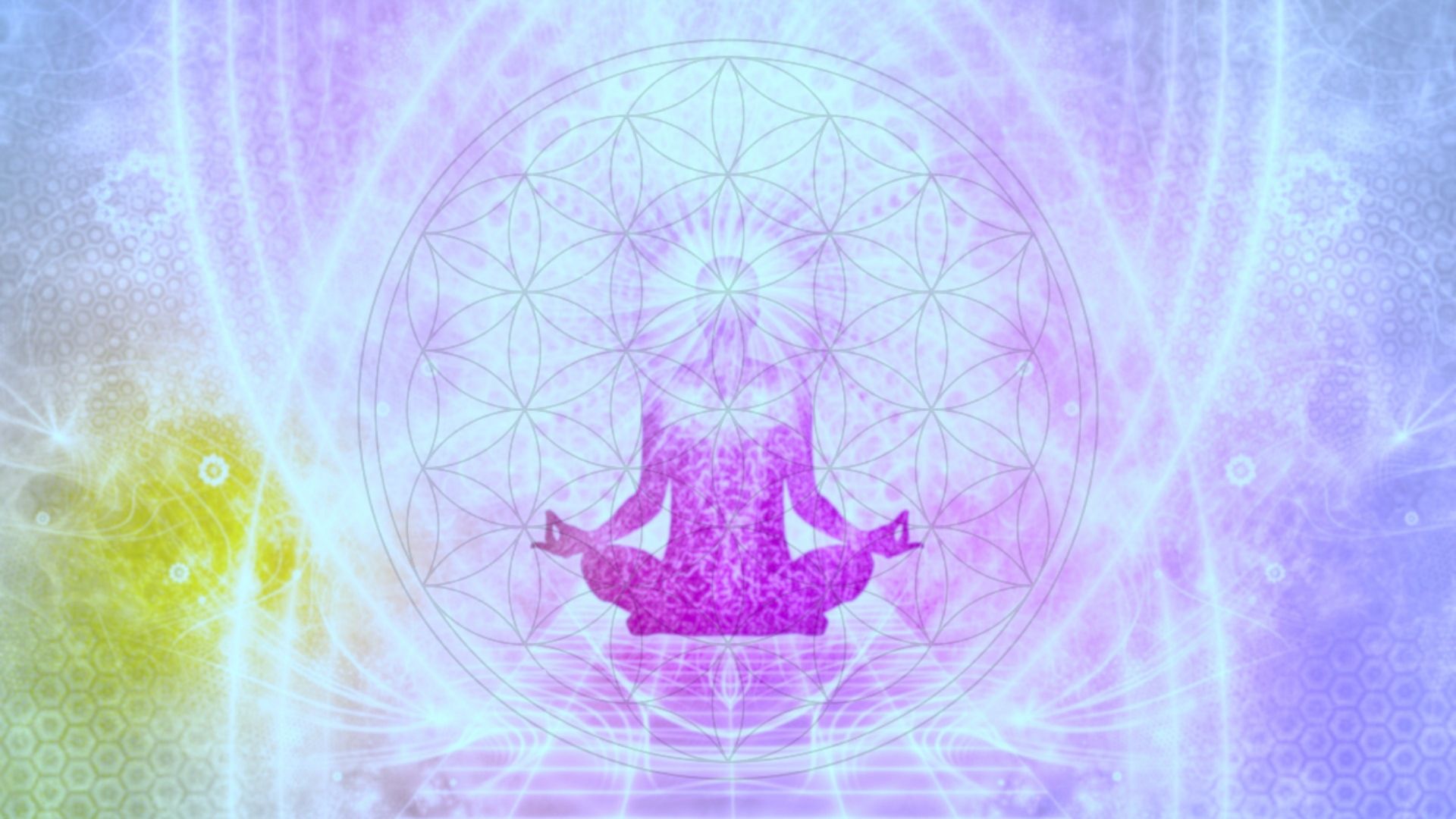 A Program To Transform Your Life (3)