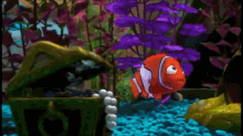 Nemo