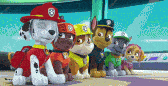 paw-patrol
