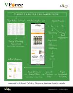V-FORCE Campaign Flow Sample Page 2020
